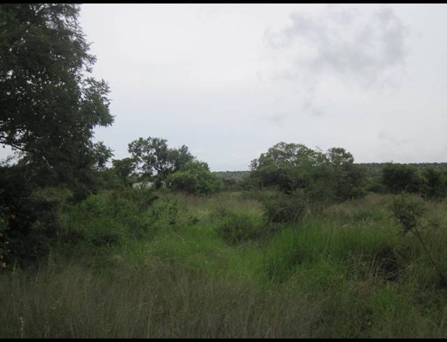 FARM FOR SALE IN HAAKDOORNBOOM AH